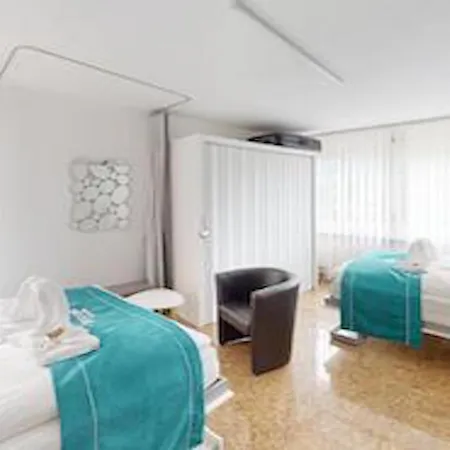 Ueber Den Daecher Von Homestay Chur