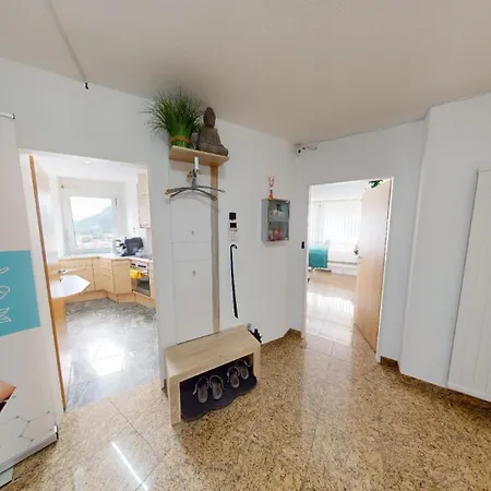 Ueber Den Daecher Von Coire