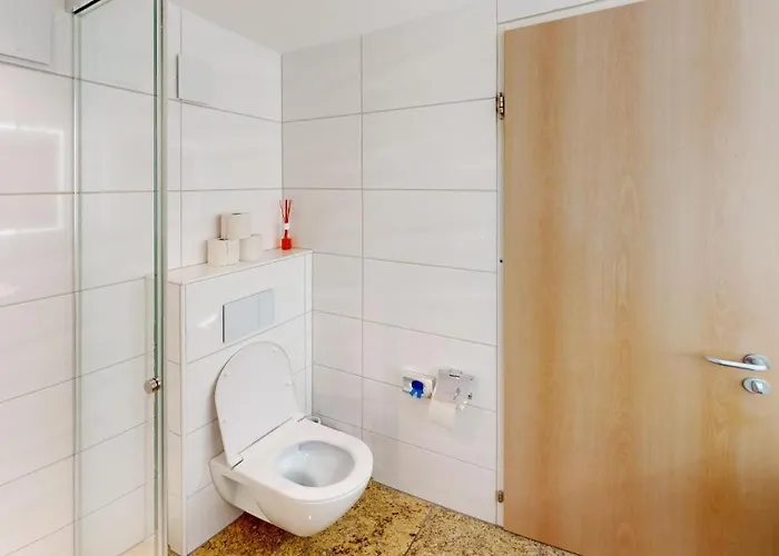 Ueber Den Daecher Von *