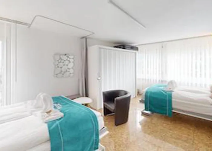 Ueber Den Daecher Von Séjour chez l'habitant Coire